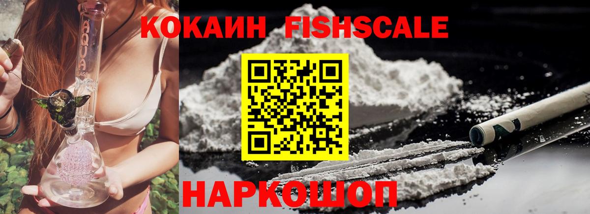 Cocaine FishScale Будённовск