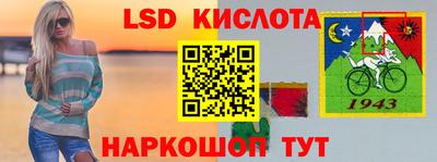 шишки Апшеронск
