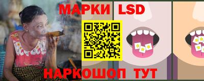 шишки Апшеронск