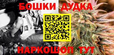шишки Апшеронск