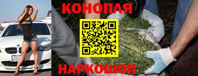 шишки Апшеронск