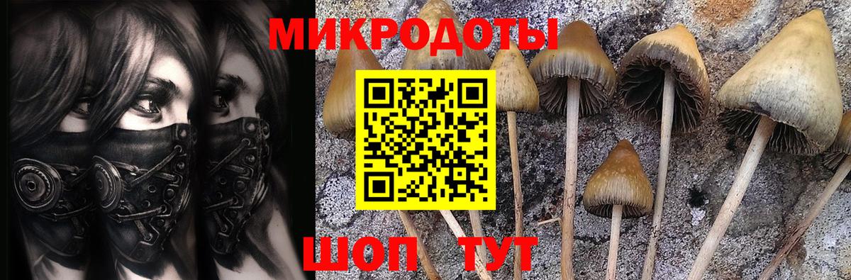 НБОМе Будённовск