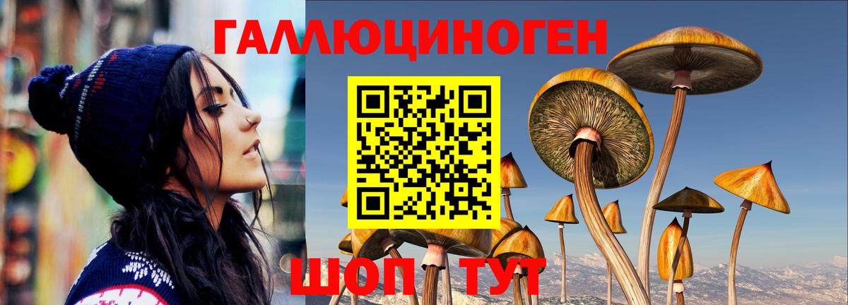 Галлюциногенные грибы Cubensis Будённовск
