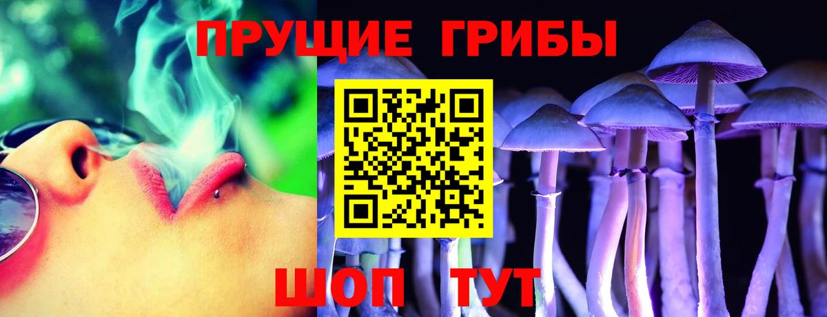 цены наркотик  Псилоцибиновые грибы ЛСД  Вход с VPN  Будённовск 
