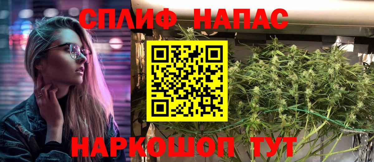 Бошки марихуана VHQ Будённовск